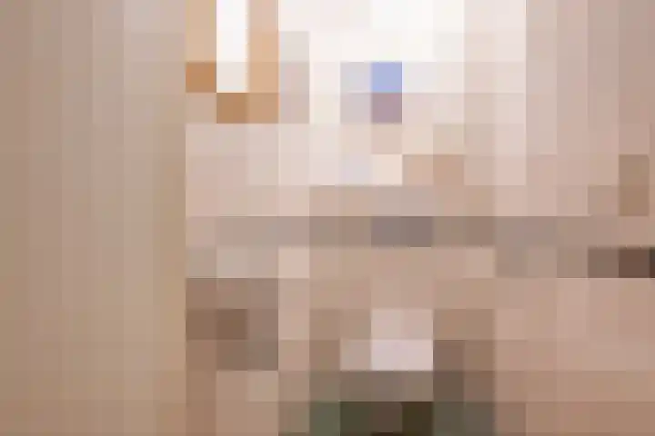Oude Grintweg 4 Aagtekerke thumbnail 30