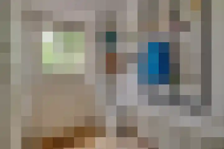 Oude Grintweg 4 Aagtekerke thumbnail 31