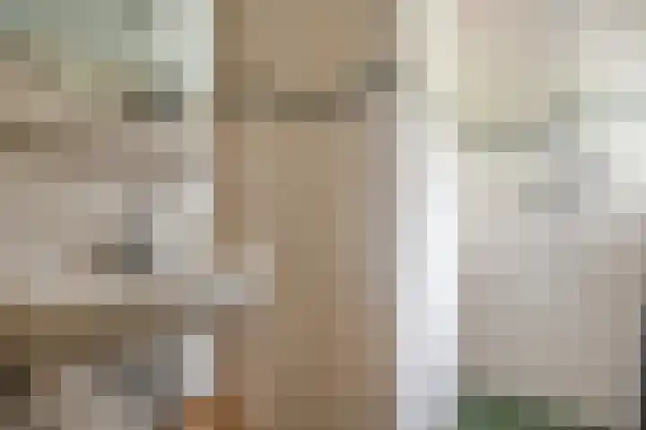 Oude Grintweg 4 Aagtekerke thumbnail 32