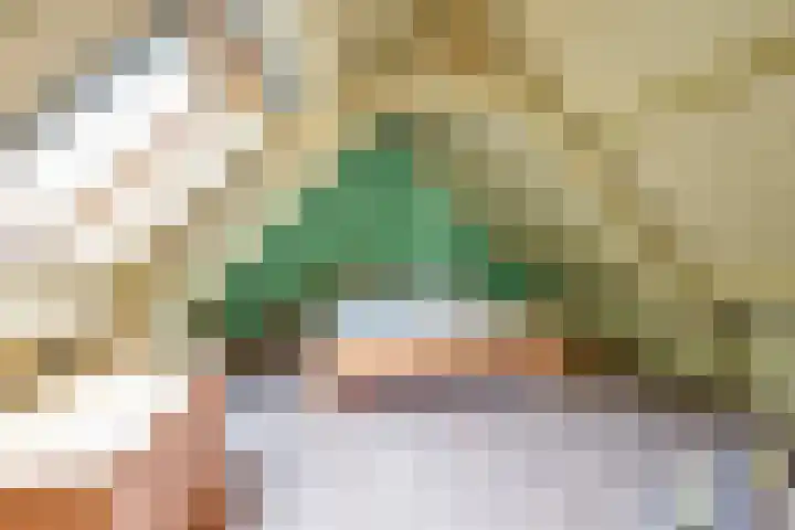 Oude Grintweg 4 Aagtekerke thumbnail 36