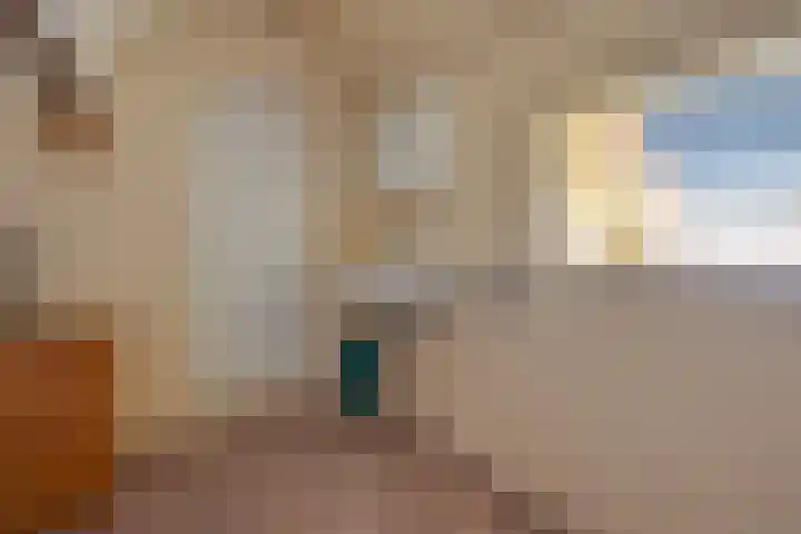 Oude Grintweg 4 Aagtekerke thumbnail 38