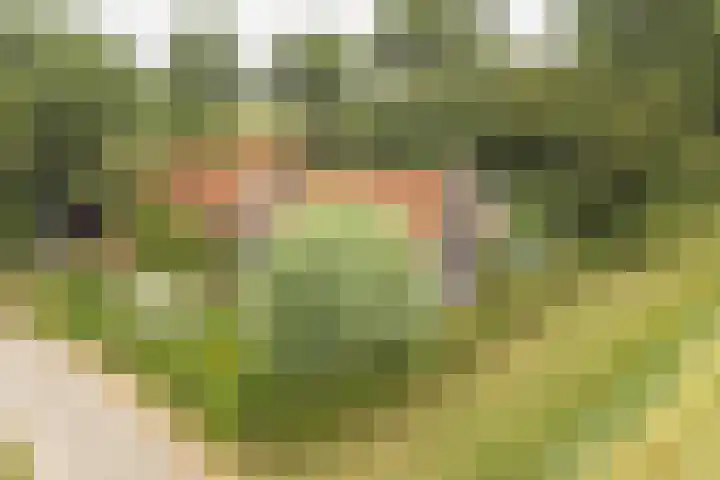 Oude Grintweg 4 Aagtekerke thumbnail 4