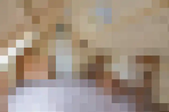 Oude Grintweg 4 Aagtekerke thumbnail 41