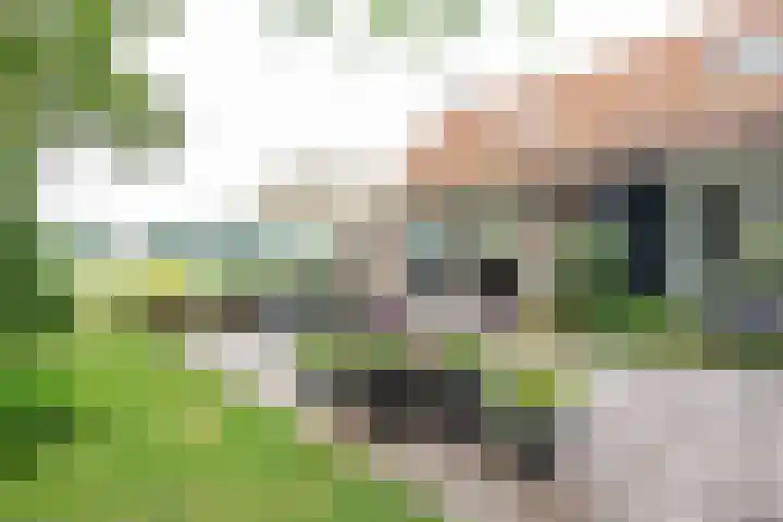 Oude Grintweg 4 Aagtekerke thumbnail 45