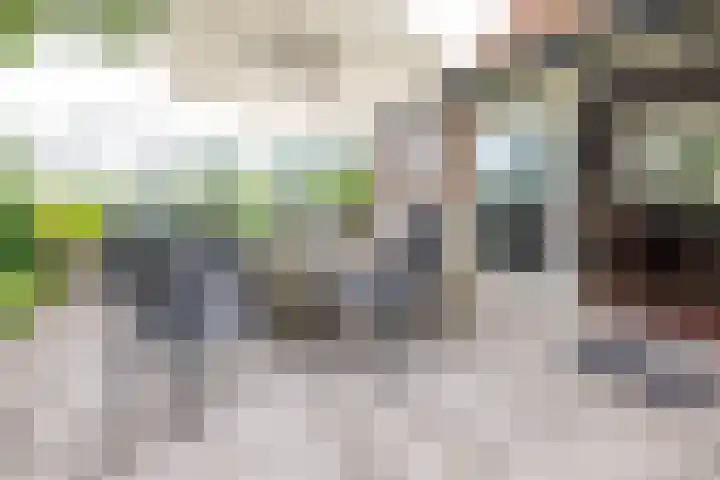 Oude Grintweg 4 Aagtekerke thumbnail 46