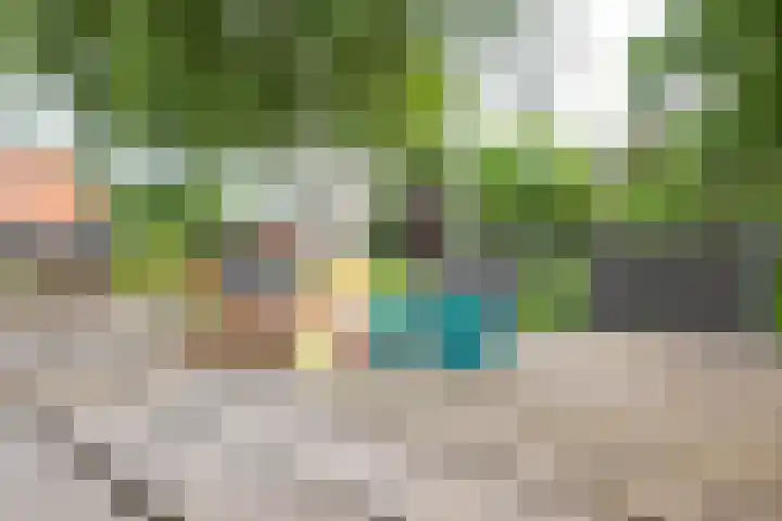 Oude Grintweg 4 Aagtekerke thumbnail 47
