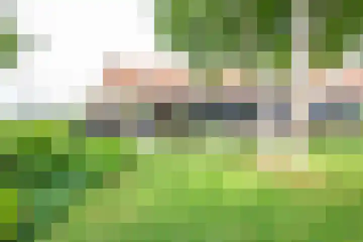 Oude Grintweg 4 Aagtekerke thumbnail 48