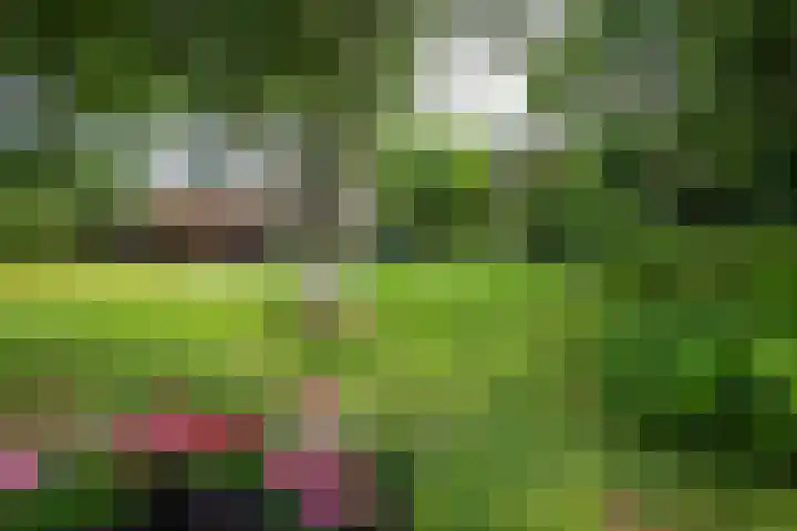 Oude Grintweg 4 Aagtekerke thumbnail 49