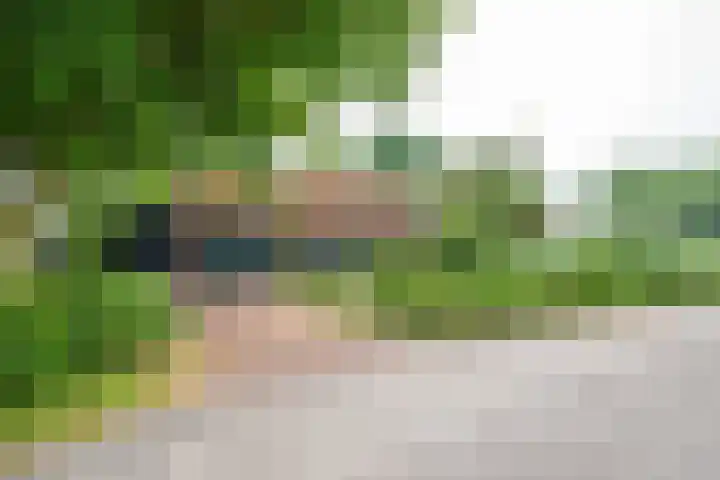 Oude Grintweg 4 Aagtekerke thumbnail 5