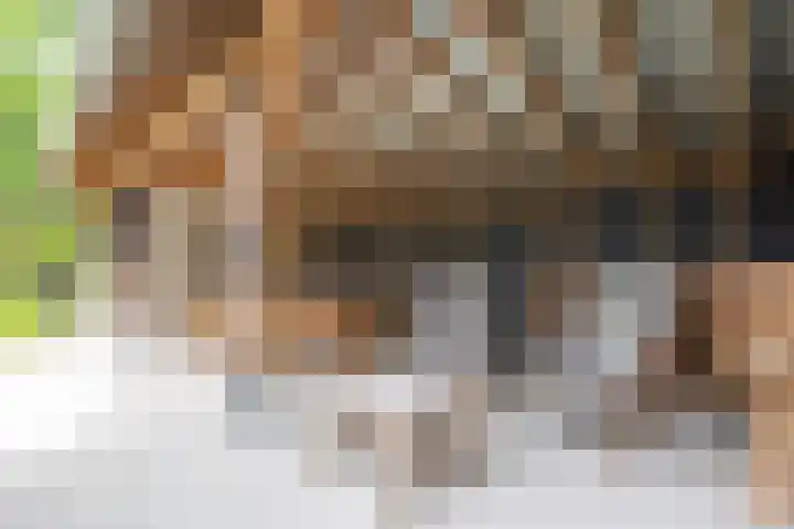 Oude Grintweg 4 Aagtekerke thumbnail 51