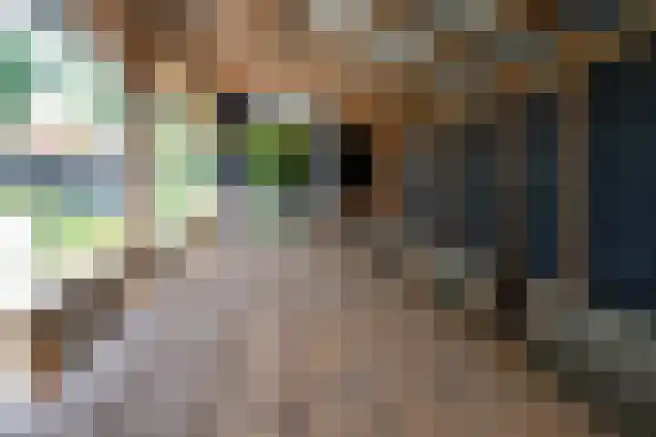 Oude Grintweg 4 Aagtekerke thumbnail 52