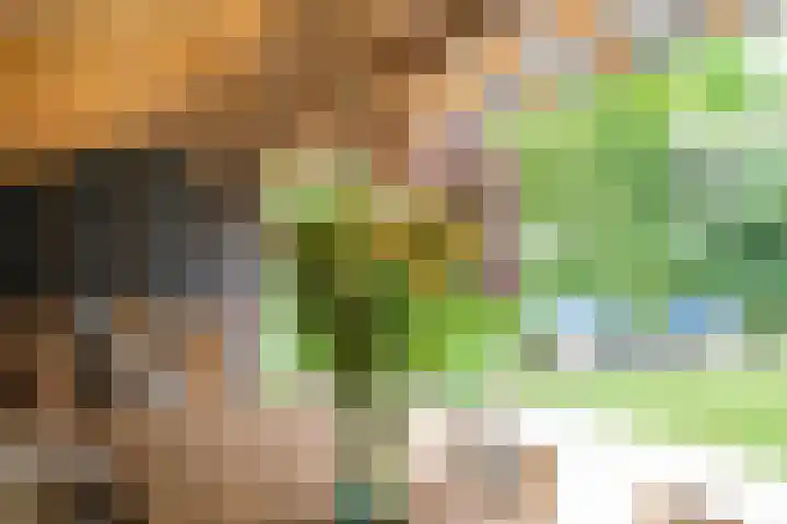 Oude Grintweg 4 Aagtekerke thumbnail 54
