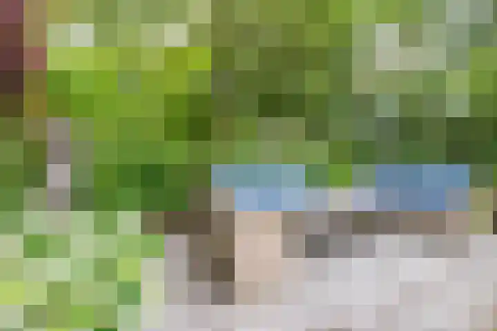 Oude Grintweg 4 Aagtekerke thumbnail 55
