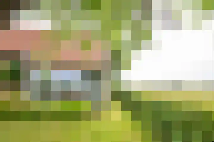 Oude Grintweg 4 Aagtekerke thumbnail 56