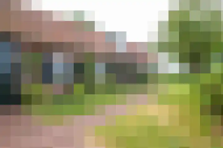 Oude Grintweg 4 Aagtekerke thumbnail 6