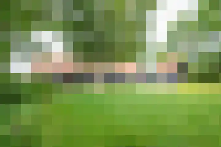 Oude Grintweg 4 Aagtekerke thumbnail 61