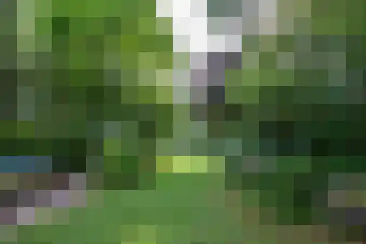 Oude Grintweg 4 Aagtekerke thumbnail 62