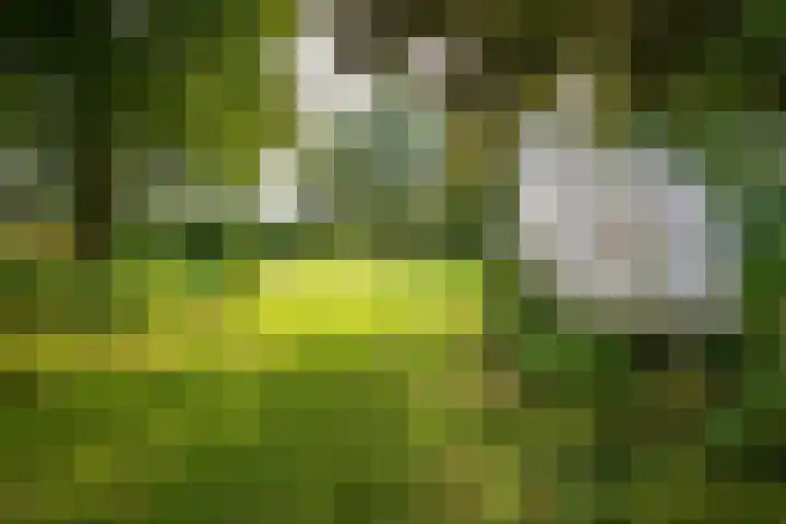 Oude Grintweg 4 Aagtekerke thumbnail 63