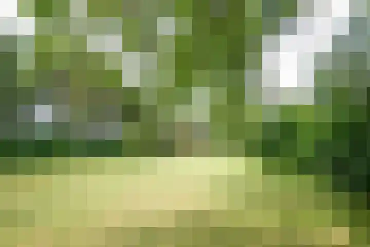 Oude Grintweg 4 Aagtekerke thumbnail 64