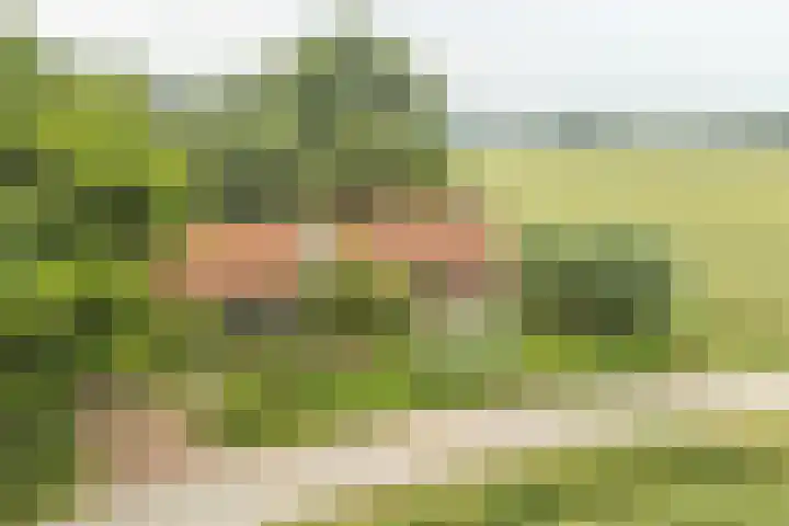 Oude Grintweg 4 Aagtekerke thumbnail 66