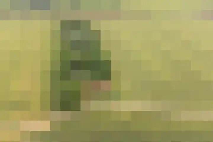Oude Grintweg 4 Aagtekerke thumbnail 67
