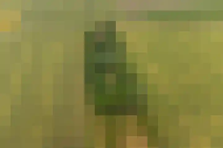 Oude Grintweg 4 Aagtekerke thumbnail 68