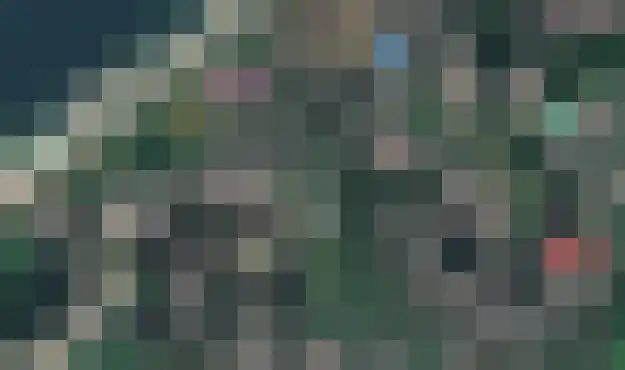 Oude Grintweg 4 Aagtekerke thumbnail 69