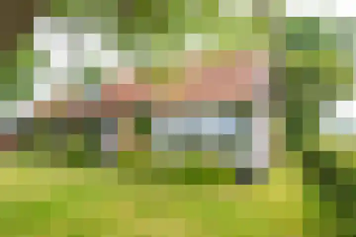 Oude Grintweg 4 Aagtekerke thumbnail 7