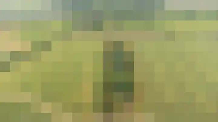 Oude Grintweg 4 Aagtekerke thumbnail 75