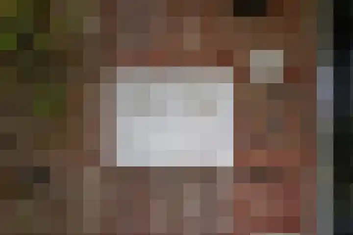 Oude Grintweg 4 Aagtekerke thumbnail 8
