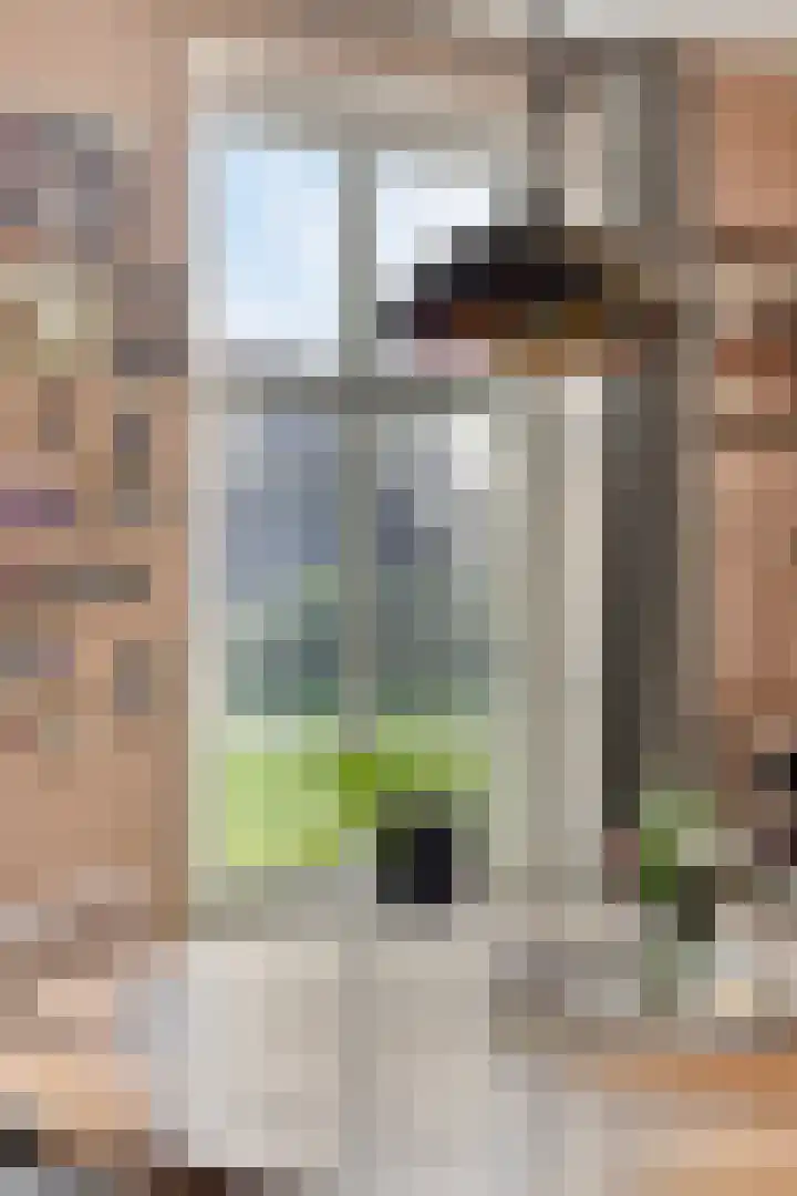 Oude Grintweg 62 Oirschot thumbnail 20