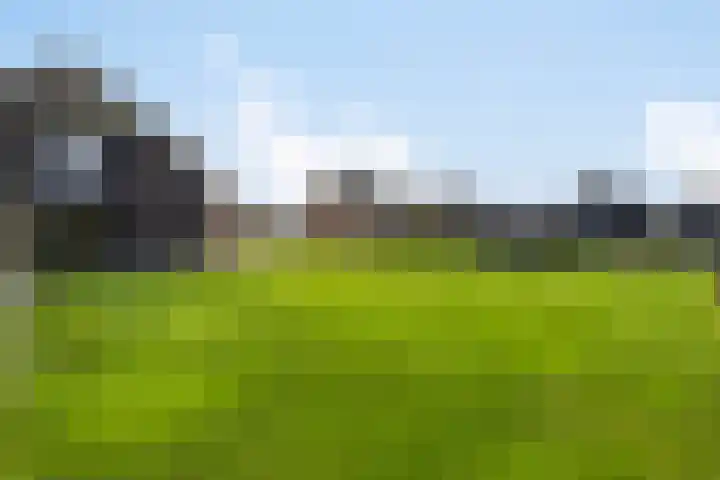 Oude Grintweg 62 Oirschot thumbnail 48