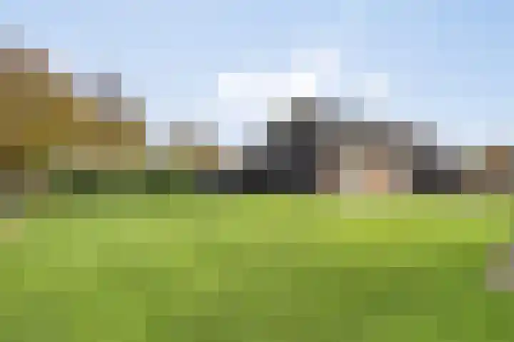 Oude Grintweg 62 Oirschot thumbnail 49