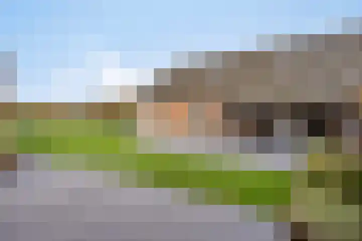 Oude Grintweg 62 Oirschot thumbnail 51