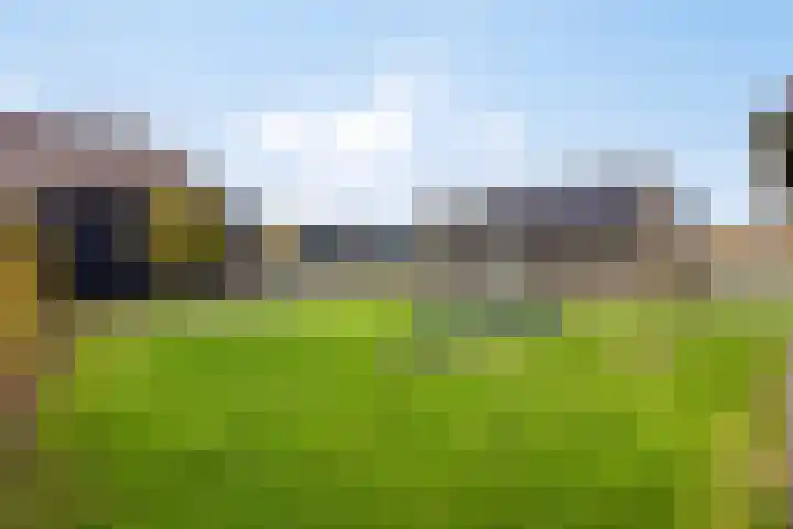 Oude Grintweg 62 Oirschot thumbnail 55