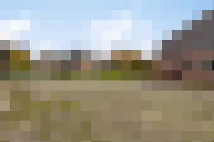 Oude Grintweg 62 Oirschot thumbnail 57