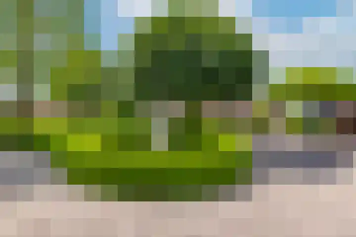 Oude Grintweg 77 A Oirschot thumbnail 33