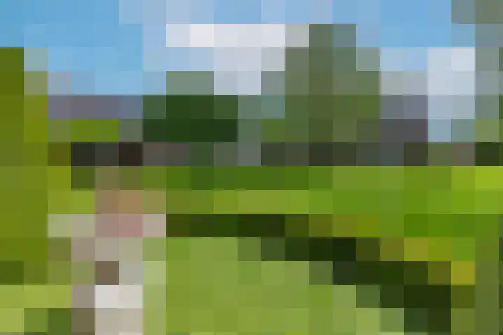 Oude Grintweg 77 A Oirschot thumbnail 34
