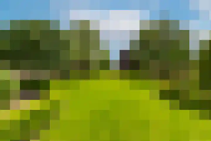 Oude Grintweg 77 A Oirschot thumbnail 4
