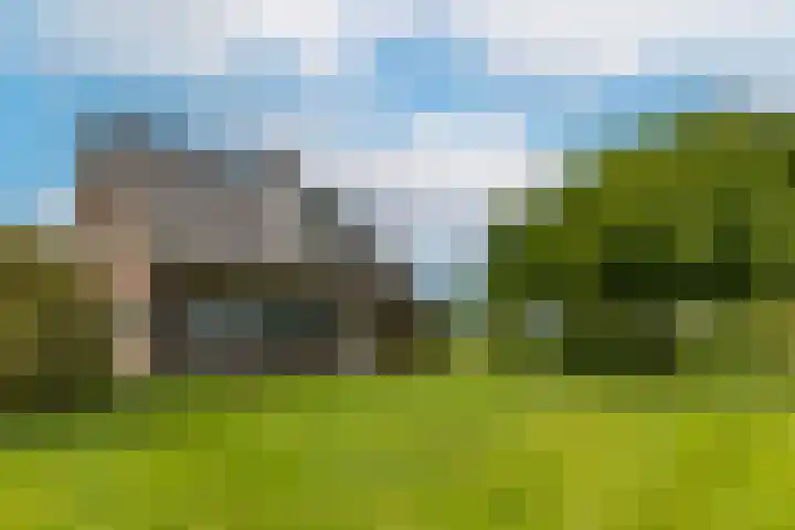 Oude Grintweg 77 A Oirschot thumbnail 48