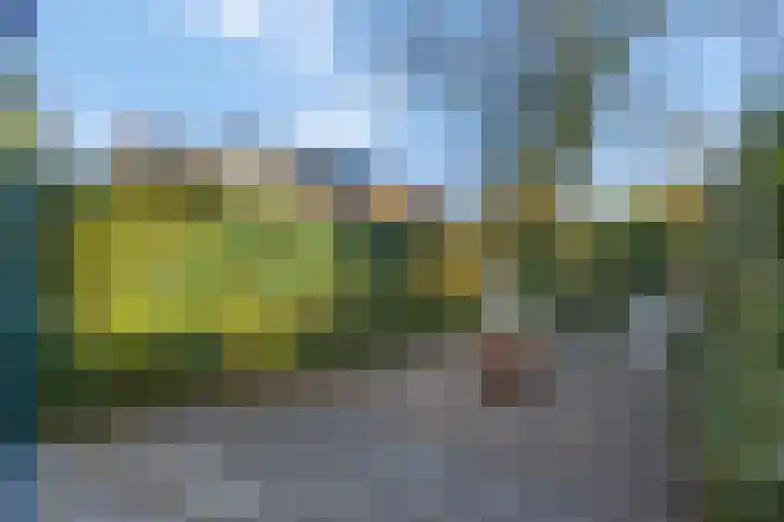 Oude Groenestraat 6 136 Oosterhout thumbnail 39