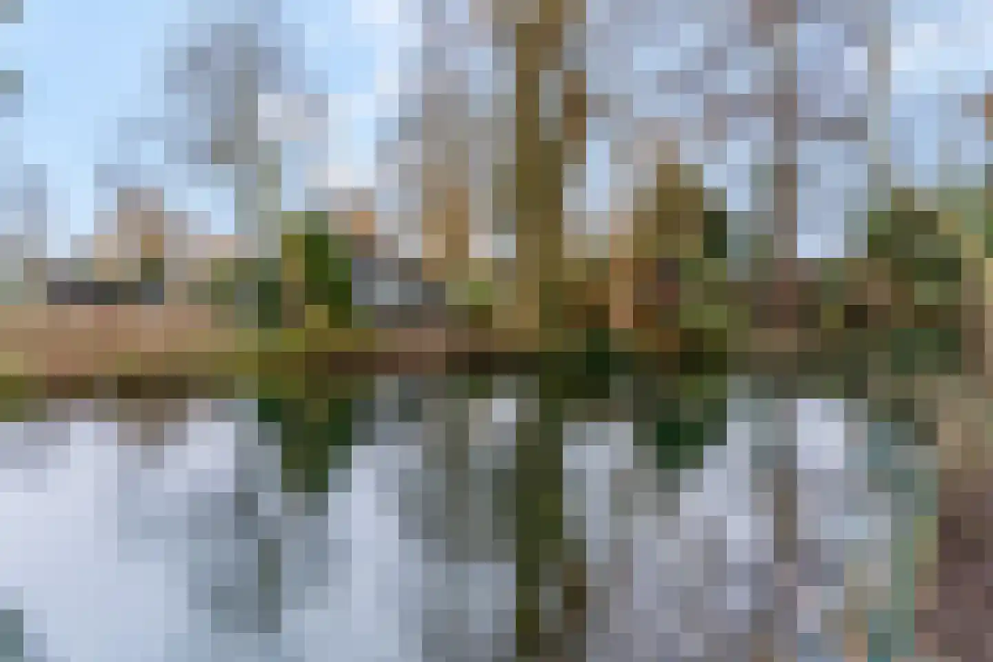 Oude Groenestraat 6 183 Oosterhout thumbnail 8