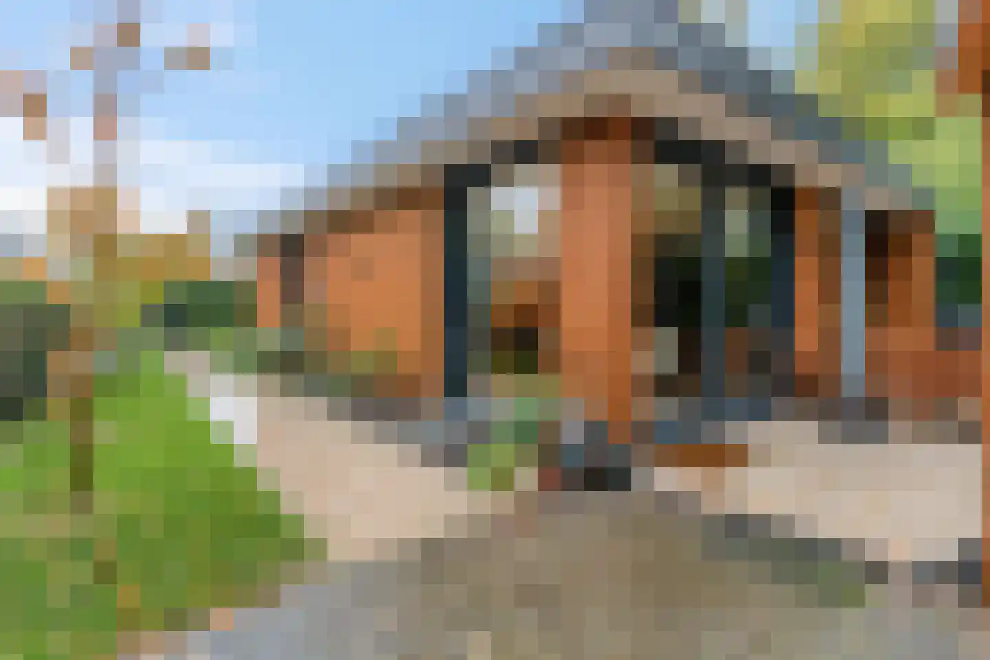 Oude Groenestraat 6 23 Oosterhout thumbnail 4