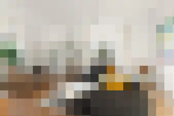 Oude Groenewoudseweg 242 Nijmegen thumbnail 6