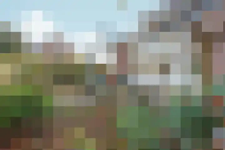 Oude Groenewoudseweg 242 Nijmegen thumbnail 70
