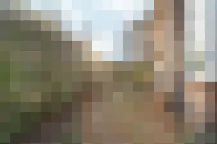 Oude Groenewoudseweg 242 Nijmegen thumbnail 72