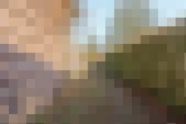 Oude Groenewoudseweg 242 Nijmegen thumbnail 74