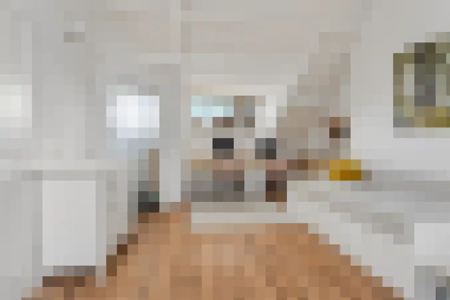 Oude Groenewoudseweg 246 Nijmegen thumbnail 37