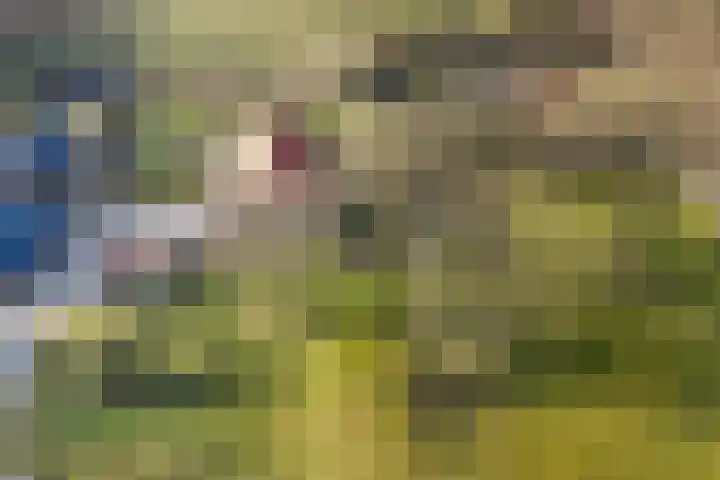 Oude Groenloseweg 17 Eibergen thumbnail 4