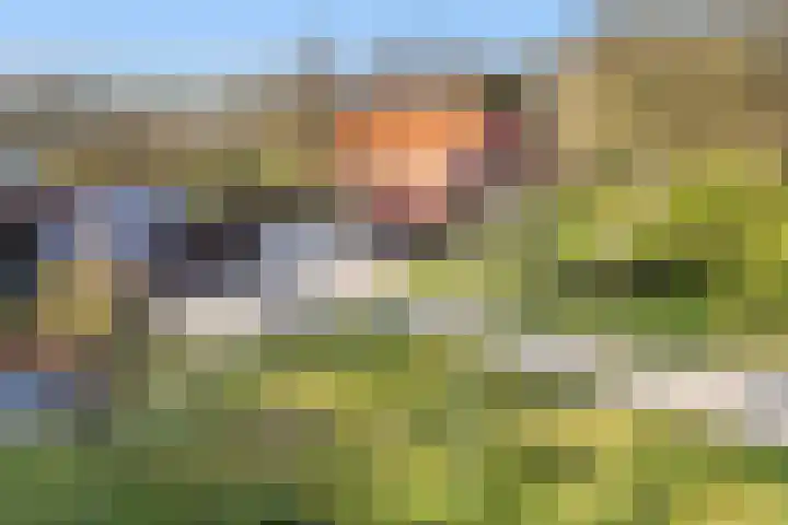 Oude Groenloseweg 17 Eibergen thumbnail 5